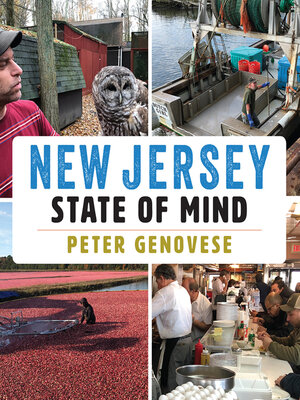 cover image of New Jersey State of Mind
